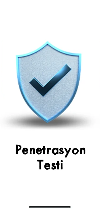 Penetration Test